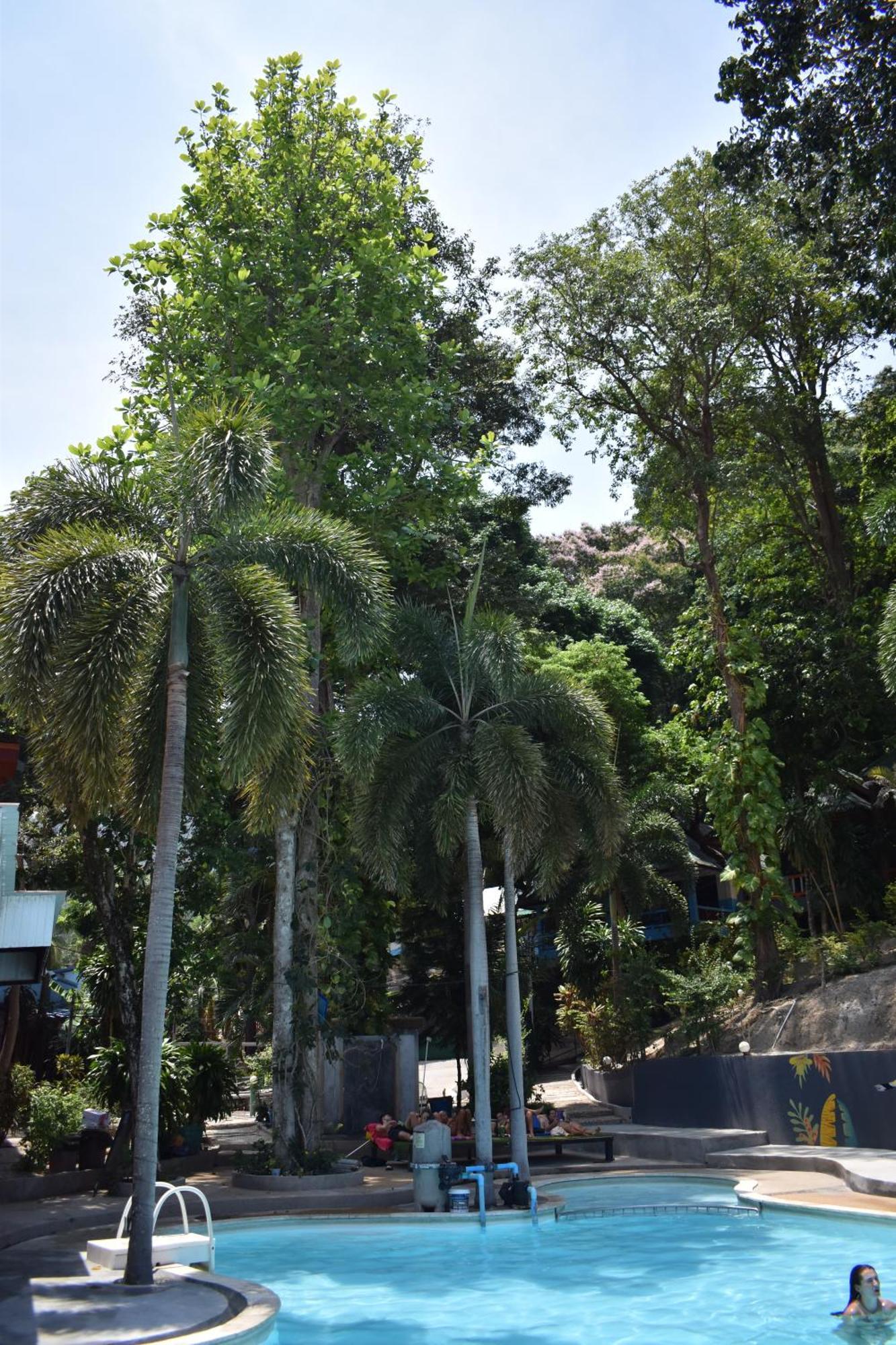 Blanco Hideout Railay - Youth Hostel 18 To 35 Only Esterno foto